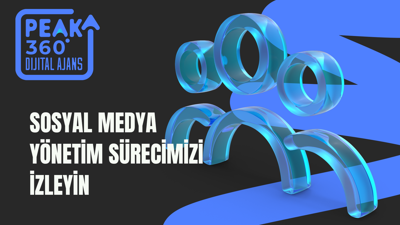 YÖNETİM