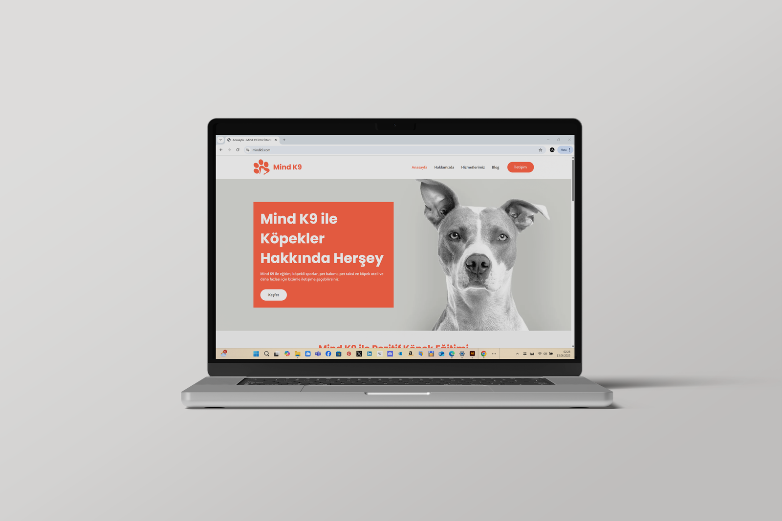 mindk9.web